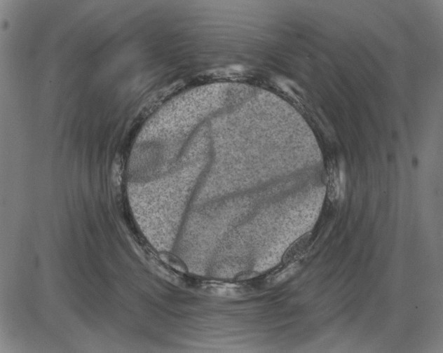 X0000083650472200703121750