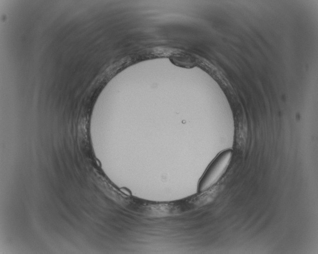 X0000083650473200703121750