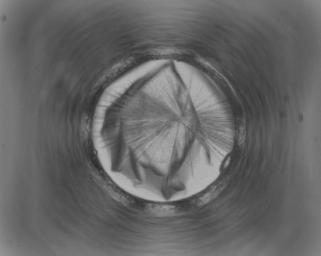 X0000083650476200703121750