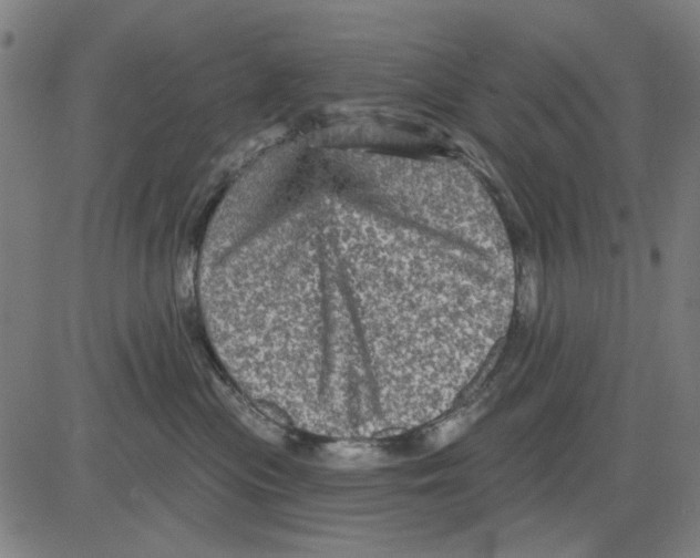 X0000083650477200703121750