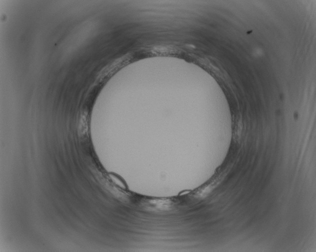 X0000083650478200703121750