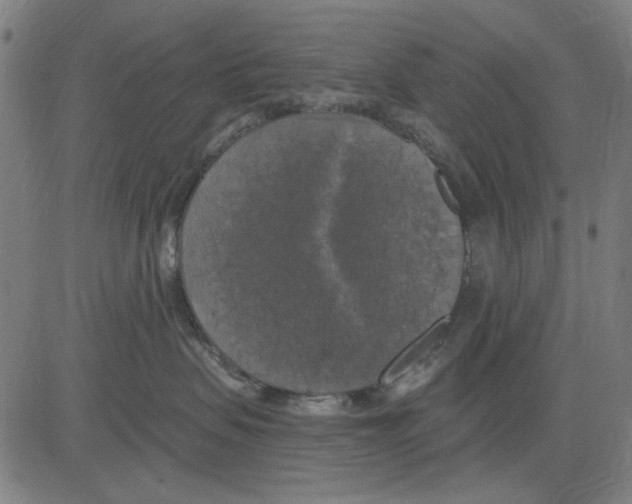 X0000083650479200703121750