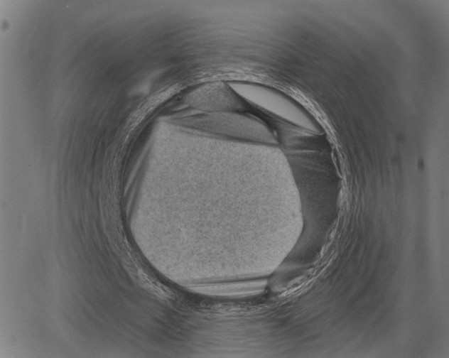 X0000083650481200703121749