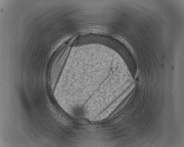 X0000083650482200703121749