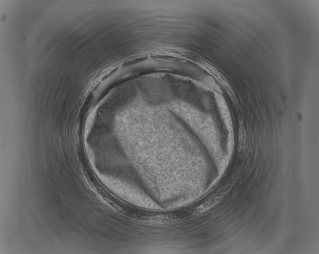 X0000083650485200703121749