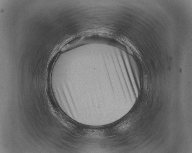 X0000083650486200703121749