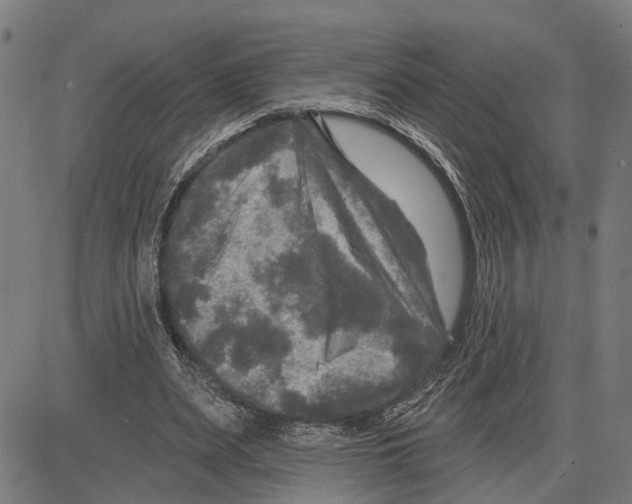 X0000083650487200703121749