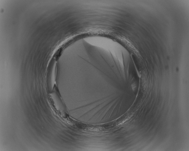 X0000083650488200703121749