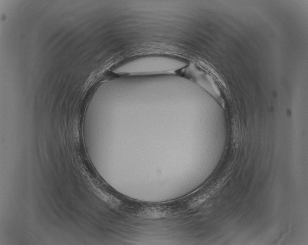 X0000083650489200703121749