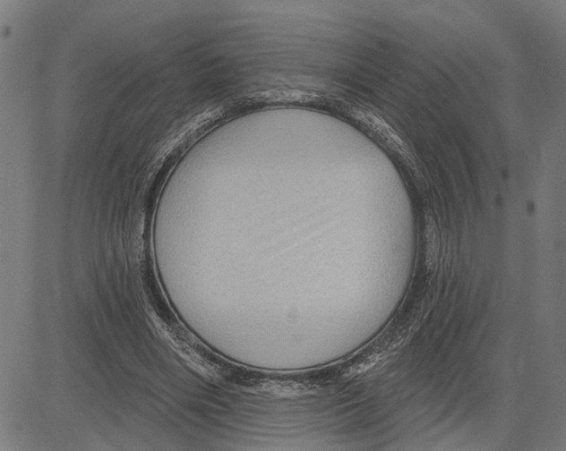 X0000083650490200703121749