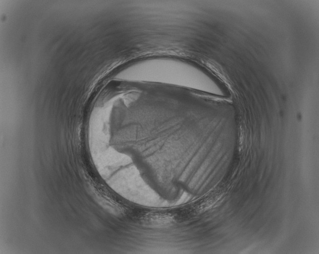 X0000083650491200703121749