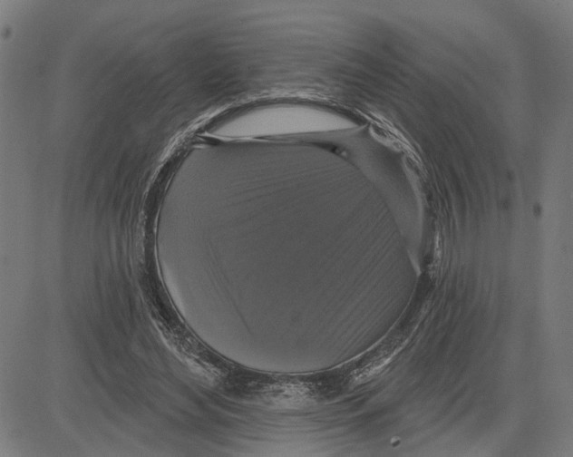 X0000083650492200703121749