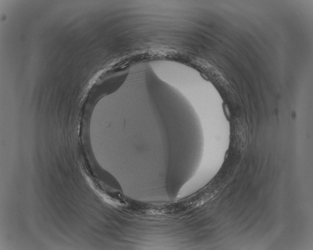 X0000083650496200703121749