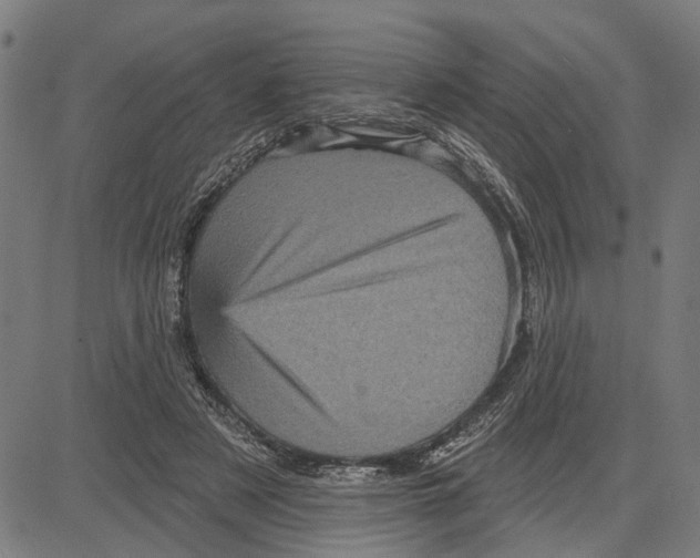 X0000083650497200703121749