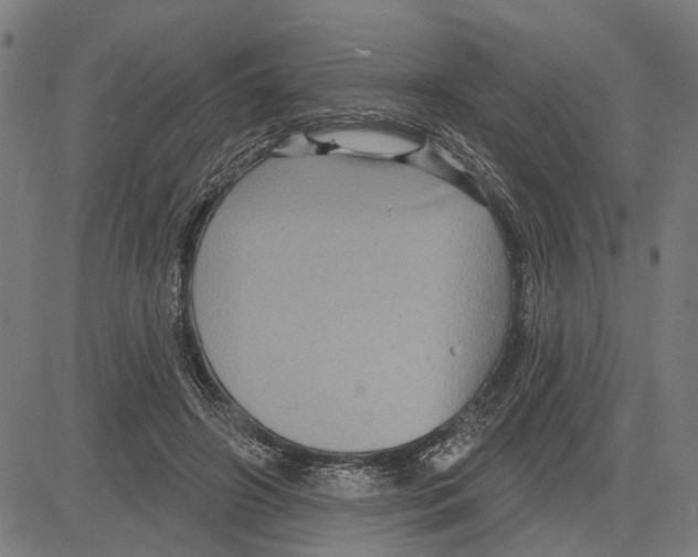 X0000083650498200703121749