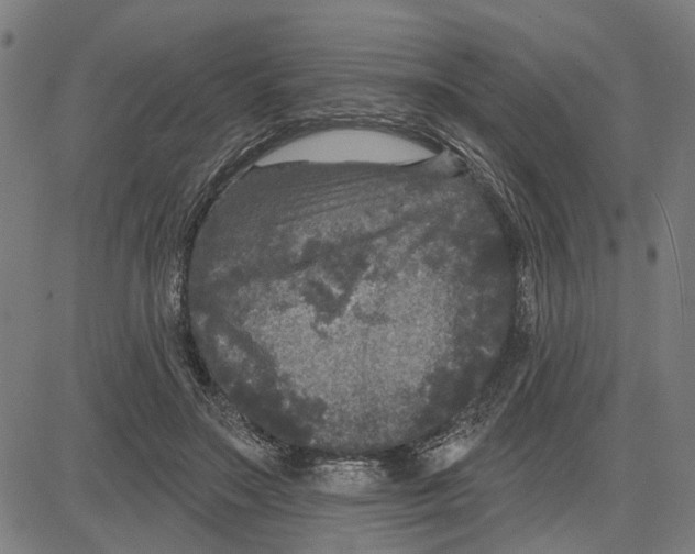 X0000083650499200703121749