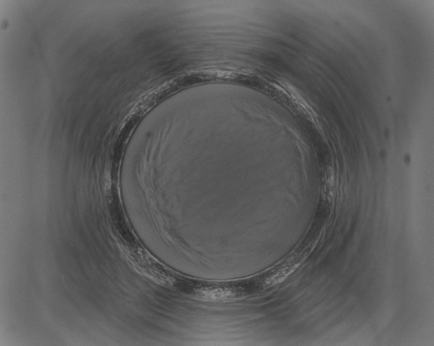 X0000083650500200703121749