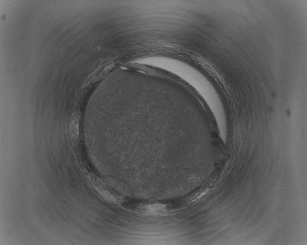 X0000083650501200703121749