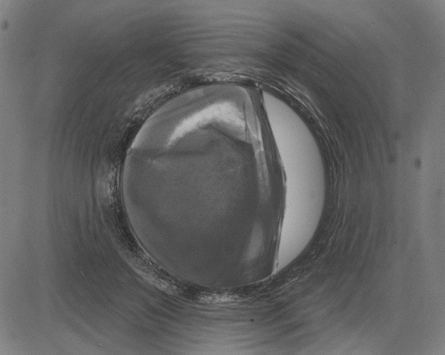 X0000083650503200703121749