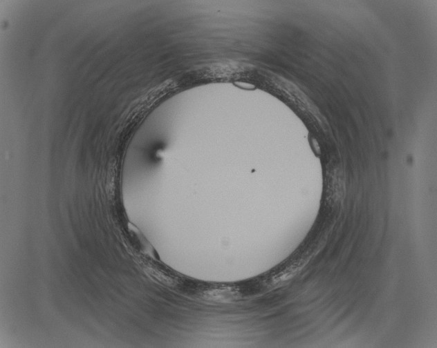 X0000083650505200703121749