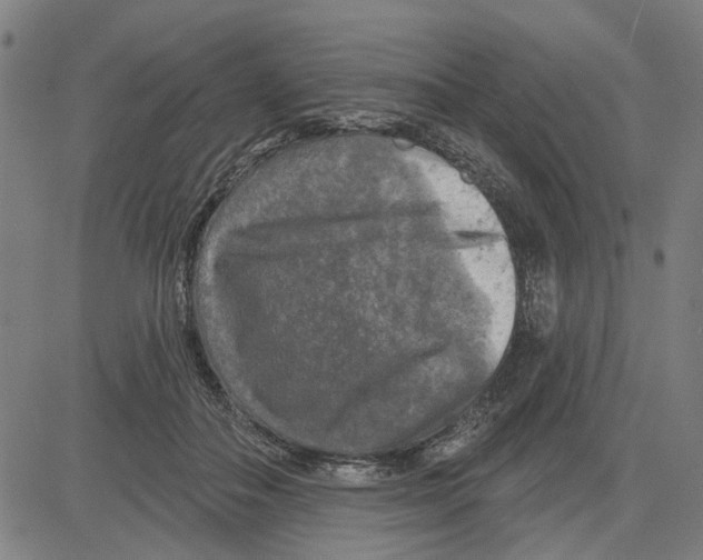 X0000083650506200703121749