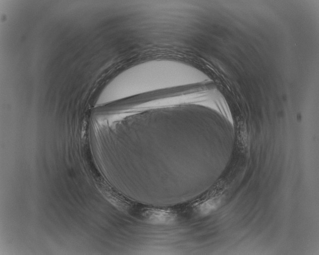 X0000083650507200703121749