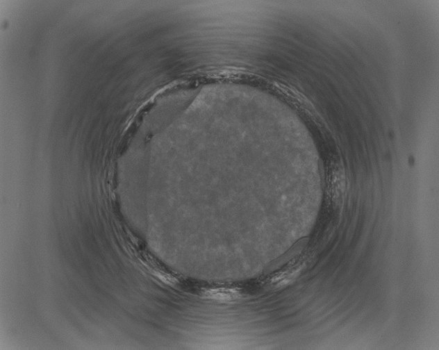 X0000083650508200703121749