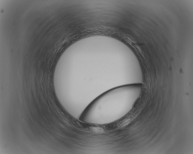 X0000083650509200703121749