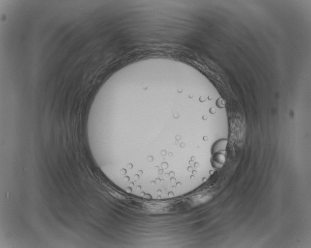 X0000083650510200703121749