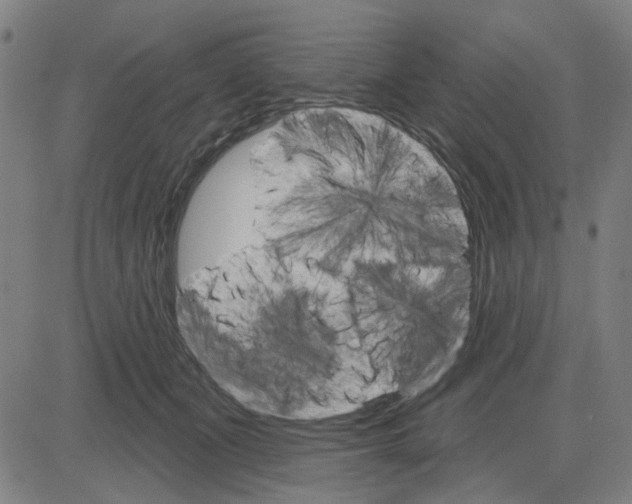 X0000083650511200703121749