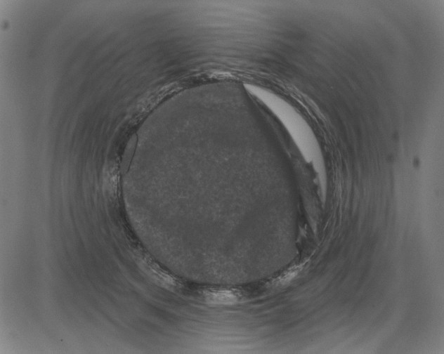 X0000083650513200703121749