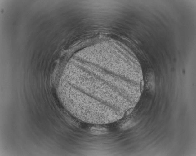 X0000083650515200703121749