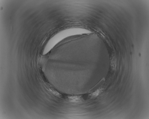 X0000083650516200703121749