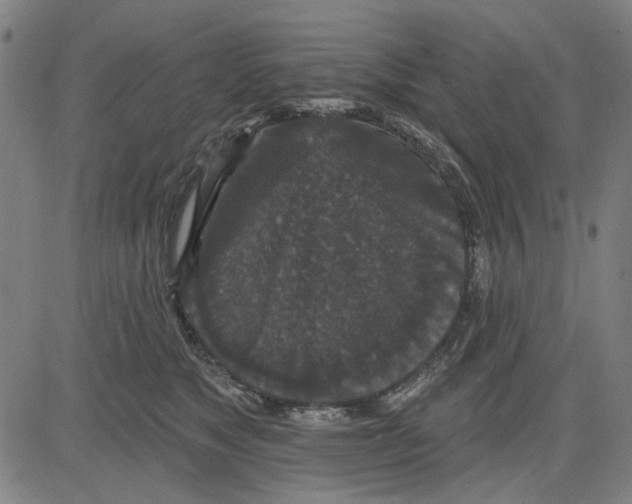 X0000083650517200703121749