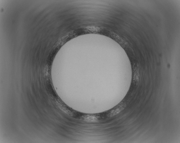 X0000083650518200703121749