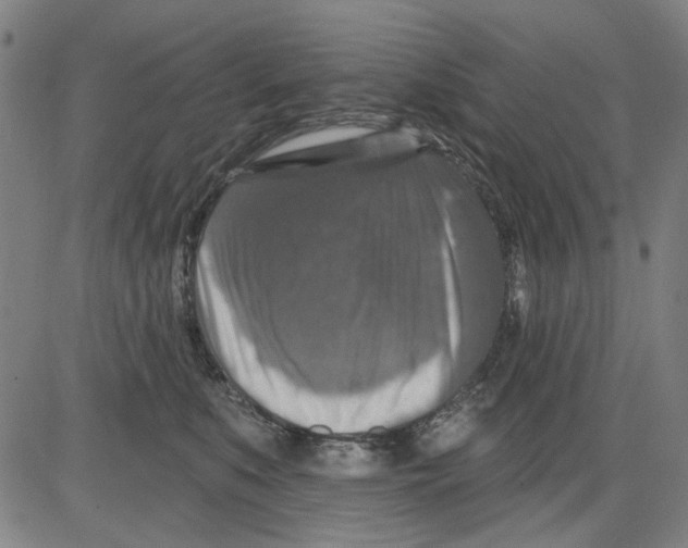 X0000083650519200703121749