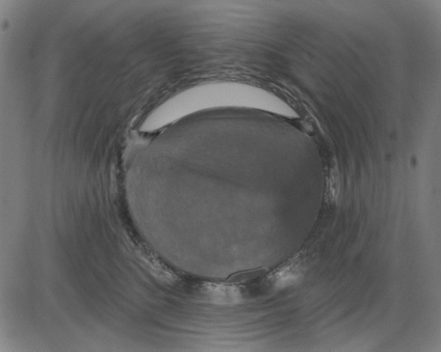 X0000083650520200703121749