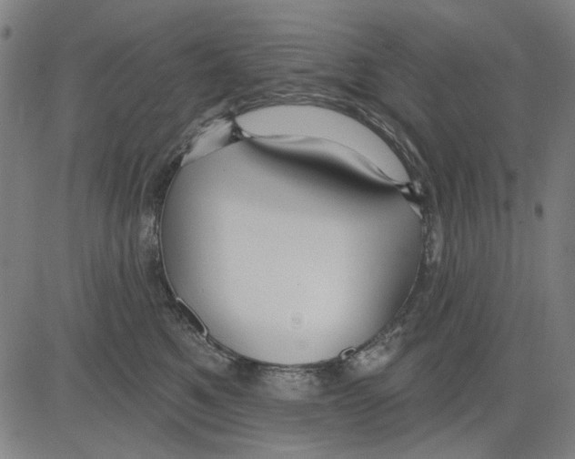 X0000083650521200703121749