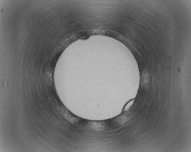 X0000083650522200703121749