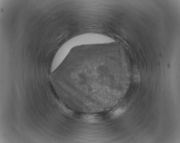 X0000083650523200703121749