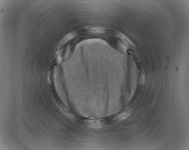 X0000083650524200703121749