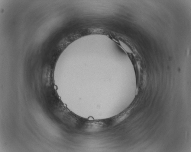 X0000083650525200703121749