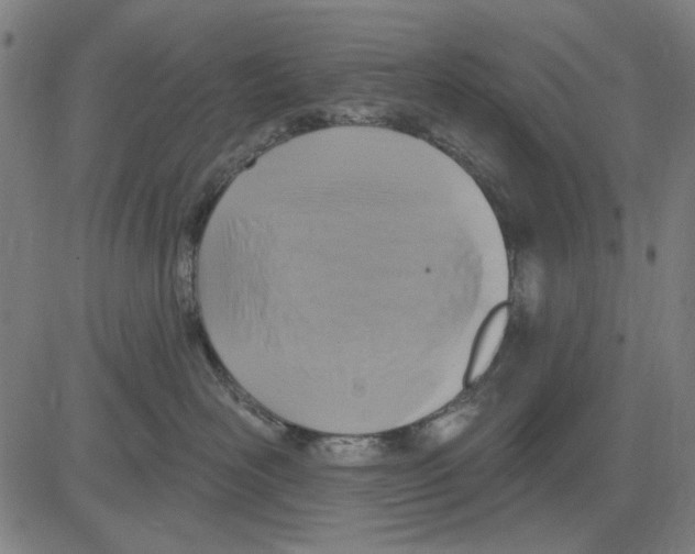 X0000083650526200703121749