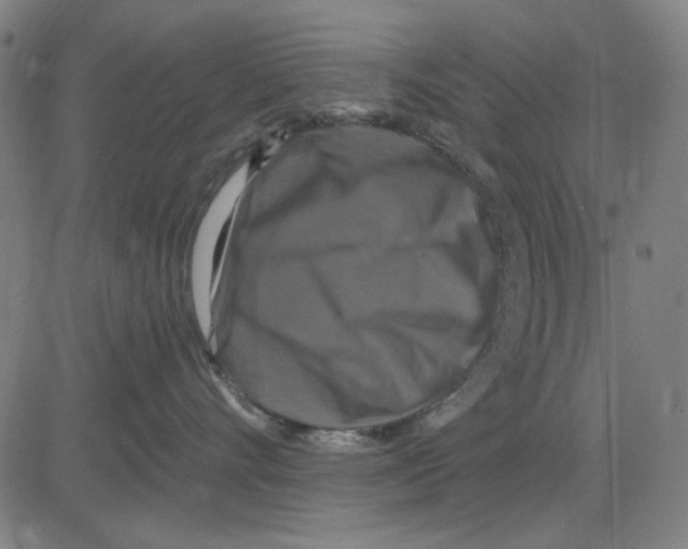 X0000083650528200703121748