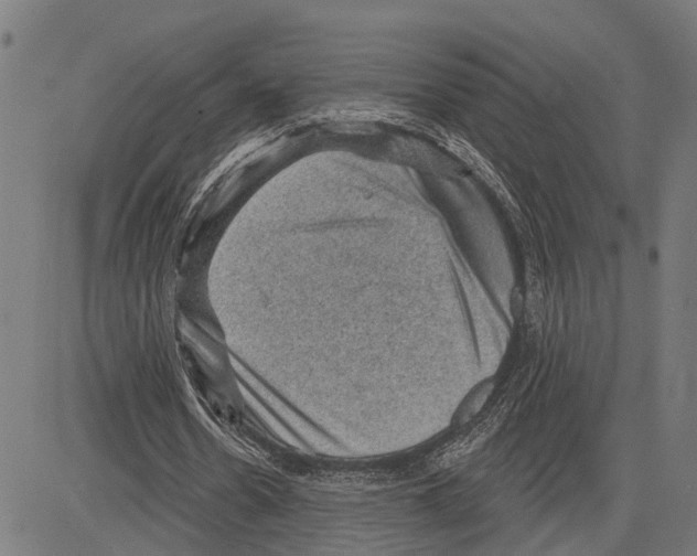 X0000083650530200703121748