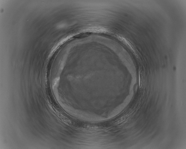 X0000083650531200703121748