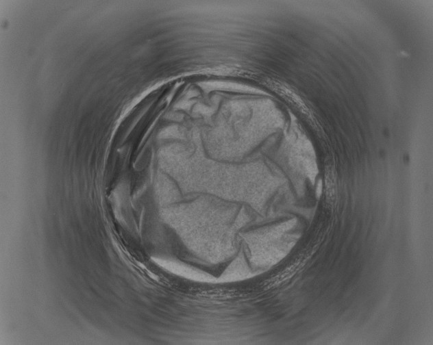 X0000083650532200703121748