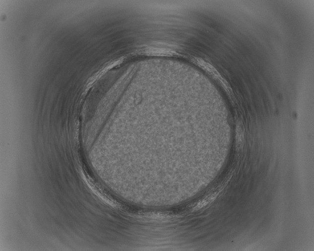 X0000083650533200703121748