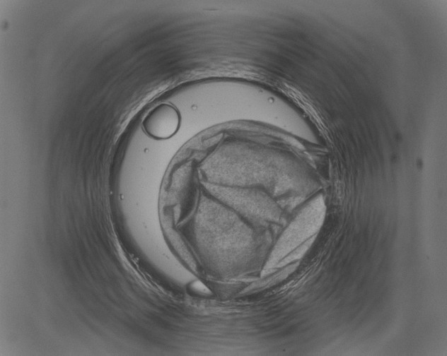 X0000083650534200703121748