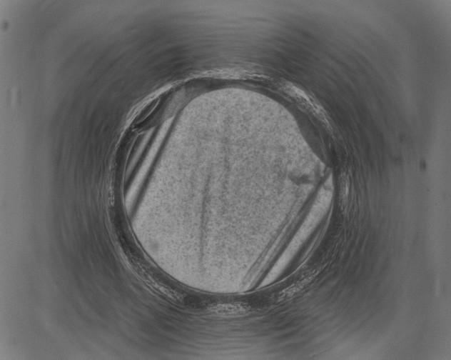 X0000083650536200703121748